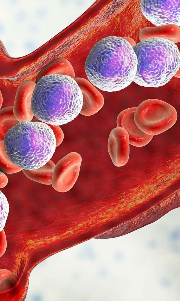 latest-equipment-and-facilities