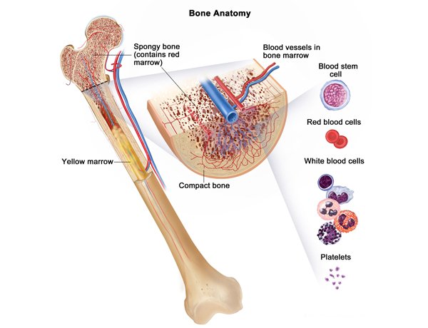latest-equipment-and-facilities