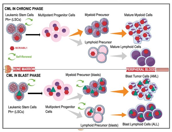 latest-equipment-and-facilities